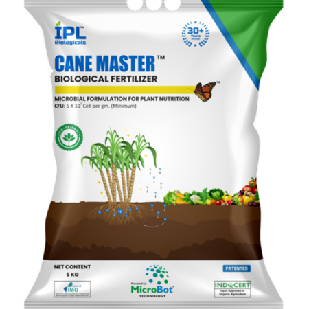 Cane Master